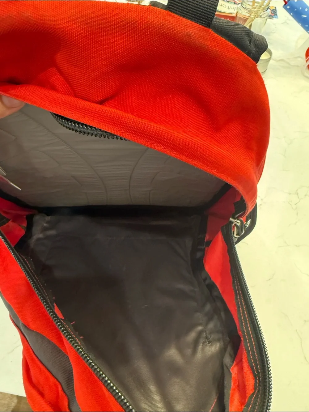 The North Face classic north